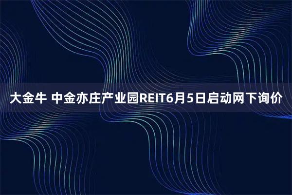 大金牛 中金亦庄产业园REIT6月5日启动网下询价