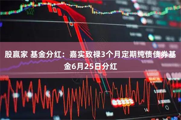股赢家 基金分红：嘉实致禄3个月定期纯债债券基金6月25日分红