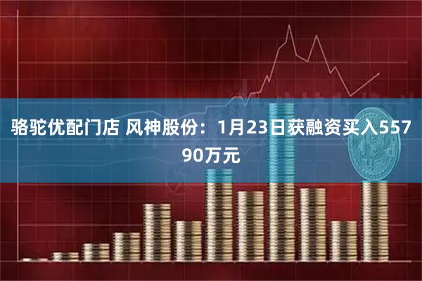 骆驼优配门店 风神股份：1月23日获融资买入55790万元