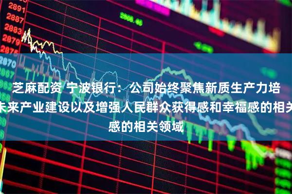 芝麻配资 宁波银行：公司始终聚焦新质生产力培育、未来产业建设以及增强人民群众获得感和幸福感的相关领域